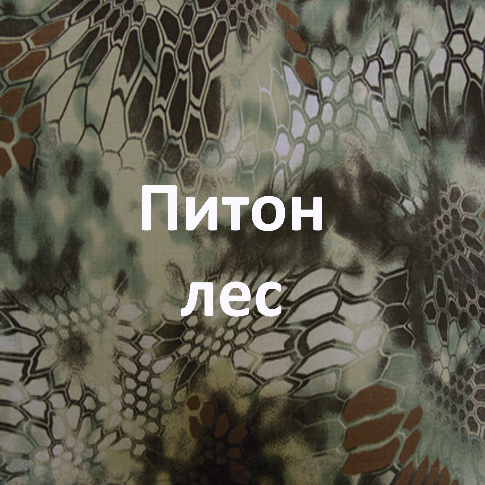 Питон Лес