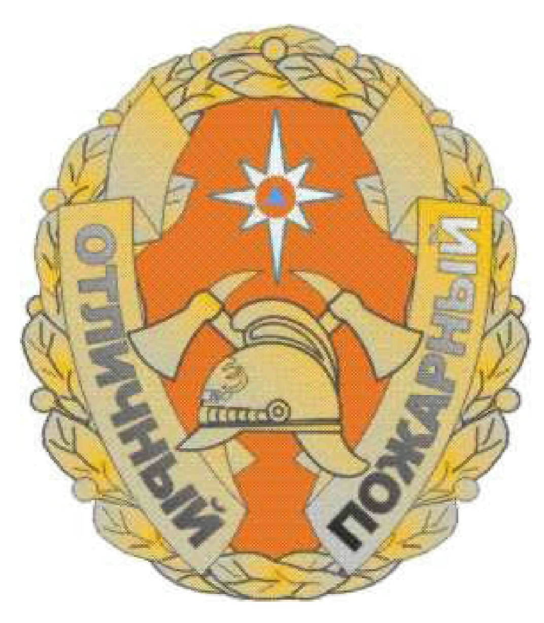 ПРИЛОЖЕНИЕ 2 К ПОЛОЖЕНИЮ 29, УТВ. ПРИКАЗОМ МЧС РФ ОТ 06.12.2010 N 620 ПРИЛОЖЕНИЕ 2 К ПОЛОЖЕНИЮ 29, УТВ. ПРИКАЗОМ МЧС РФ ОТ 06.12.2010 N 620