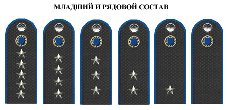 К чему снится свадьба толкование сна, сонник Игры Черепашки-ниндзя онлайн - играть бесплатно