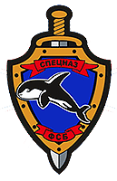 Шеврон спецназа Касатка