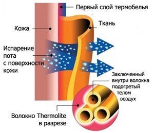 принцип работы термобелья принцип работы термобельяп