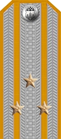 pogon_voiskovoistarshina pogon_voiskovoistarshina